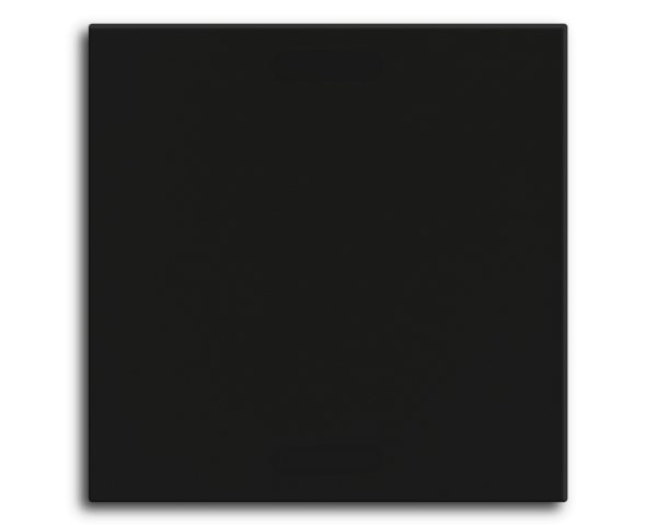MDT Bascule MDT pour bouton-poussoir Light 55 Basic, 1 p. KNX, noir mat