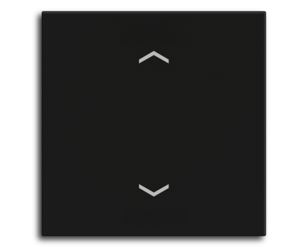MDT Bascule MDT pour bouton-poussoir Light 55 Basic, 1 p. KNX, noir mat, store